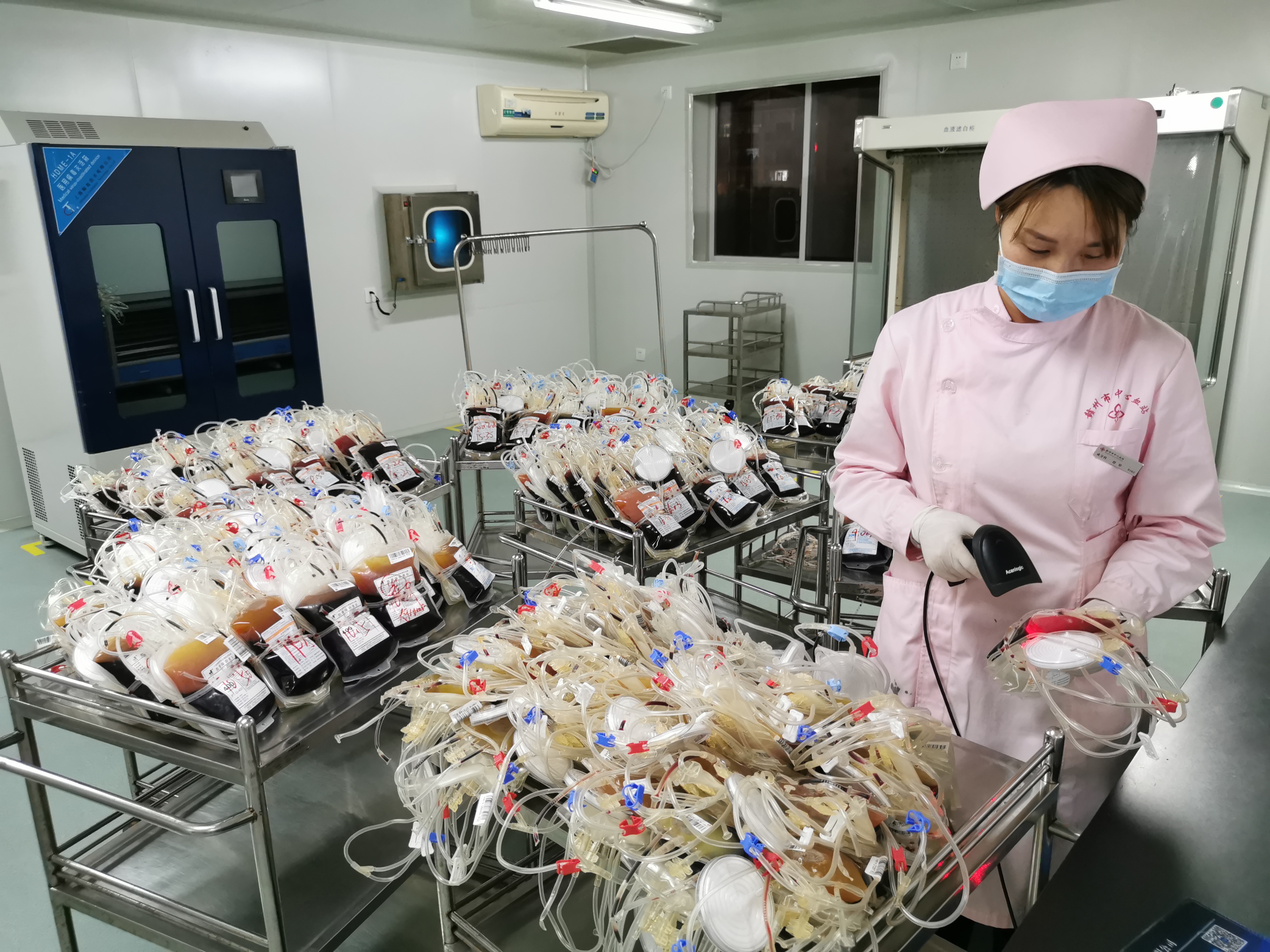 图为成分科工作人员正在将您的"爱心血液"入库至成分科您的血液采集后